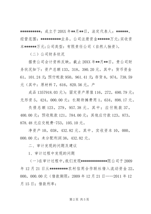 商标专项审计报告 (3).docx