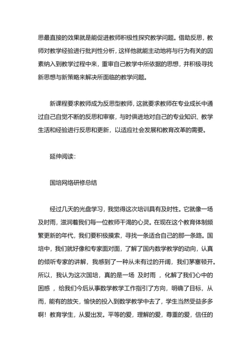 初中地理网络研修总结.docx