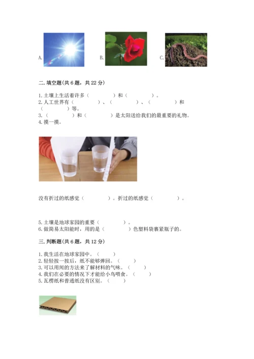 教科版科学二年级上册《期末测试卷》带答案下载.docx
