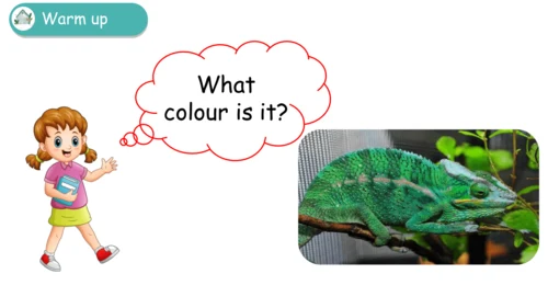 Unit 5   The colourful world课件（72张PPT)