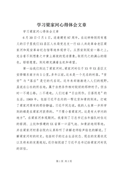 学习梁家河心得体会文章 (2).docx