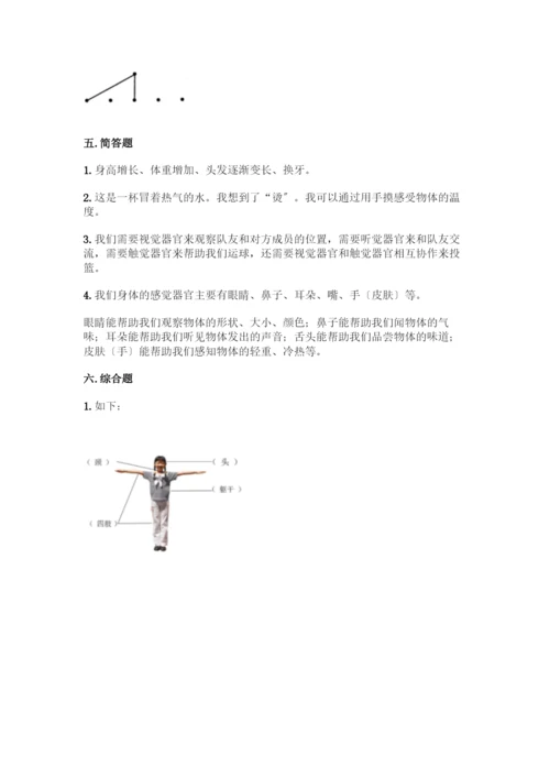 科学二年级下册第二单元《我们自己》测试卷丨精品(含答案).docx