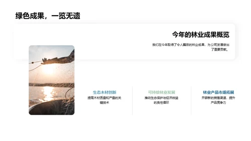 林业进步路