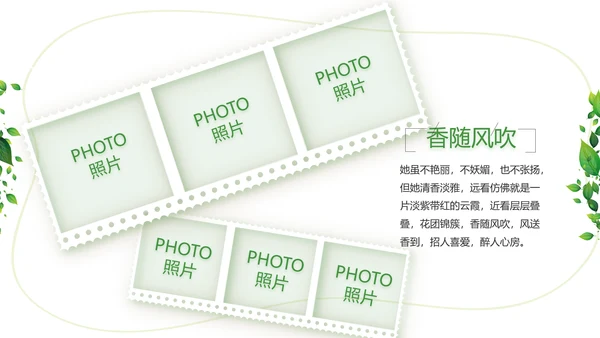 绿色清新致青春毕业季大学毕业纪念册相册PPT