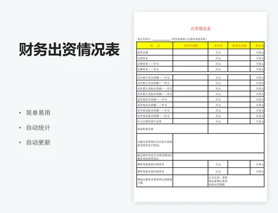 财务出资情况表