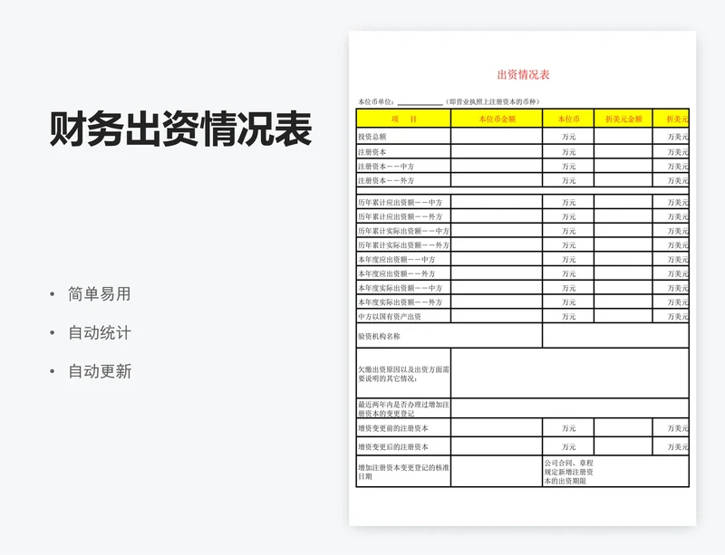 财务出资情况表