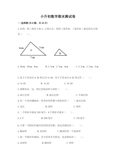 小升初数学期末测试卷（达标题）.docx