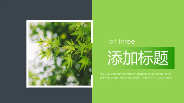 绿色生态森林湿地环境保护植树造林PPT模板