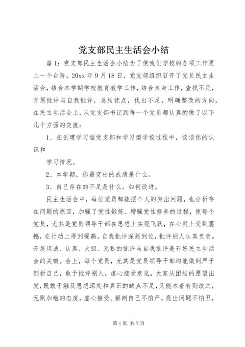 党支部民主生活会小结.docx