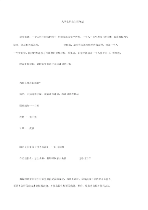 大学职业生涯规划格式