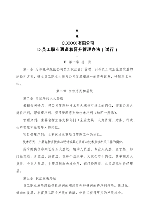 员工职业通道和晋升管理办法（试行）.docx