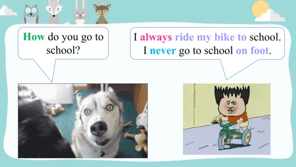 Module 8 Unit 2 I often read English books. 一般现在时课