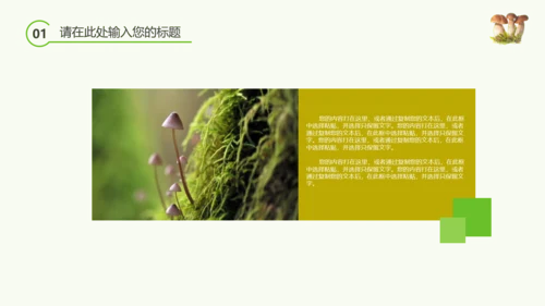 绿色植物野生菌类生长动态ppt