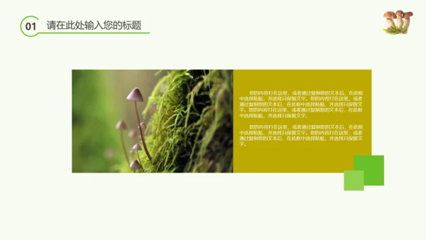 绿色植物野生菌类生长动态ppt