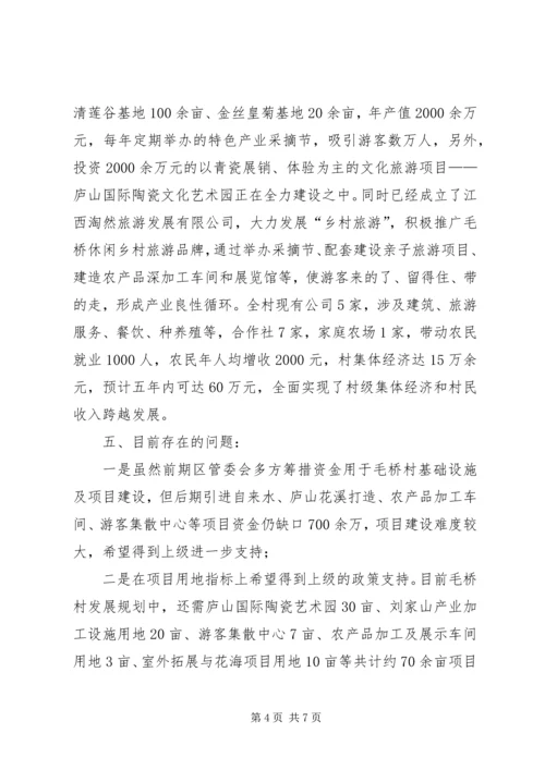 开发区美丽休闲乡村建设工作汇报.docx