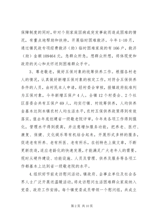 乡镇社会事务办工作总结_1.docx