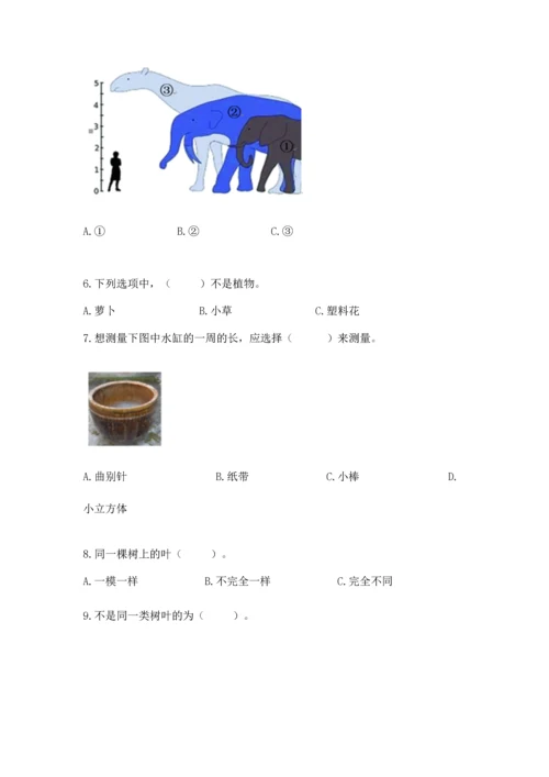 教科版科学一年级上册期末测试卷附答案（夺分金卷）.docx