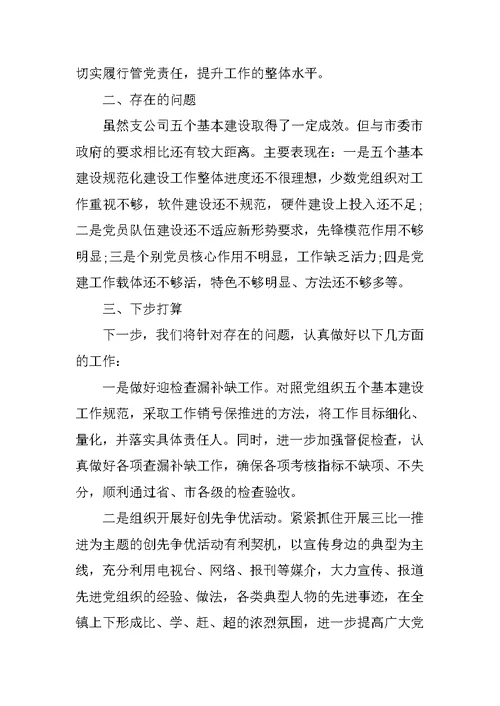 开展基层党组织建设工作自查报告