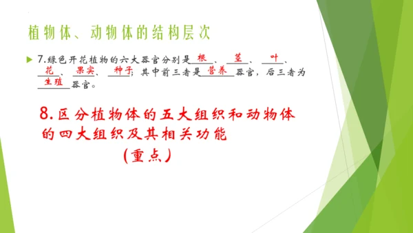 人教版生物七年级上册期中复习课件(共19张PPT)