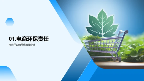 电商平台的环保实践