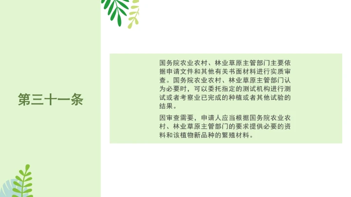 普法全文学习2025年4月新修订《中华人民共和国植物新品种保护条例》PPT课件