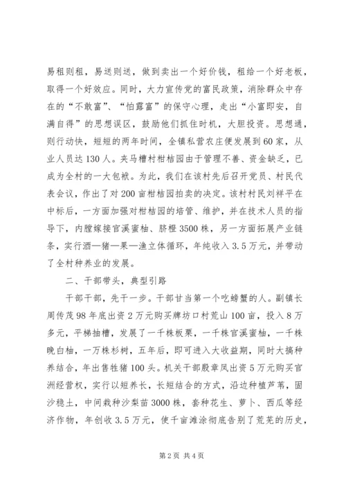 乡镇土地规模经营工作汇报.docx