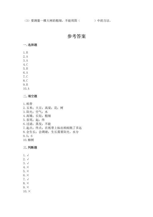 教科版一年级上册科学期末测试卷及参考答案ab卷.docx