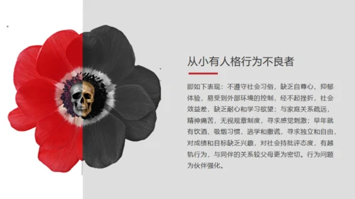 青少年禁毒宣传安全教育通用PPT模板
