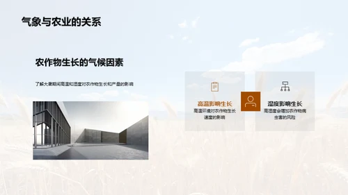 大暑农业应对策略