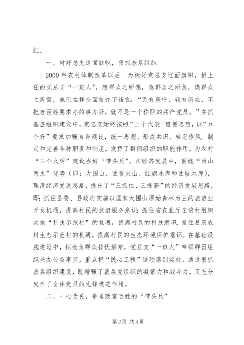 村委会党总支先进材料—树好一面旗点亮一团火 (3).docx