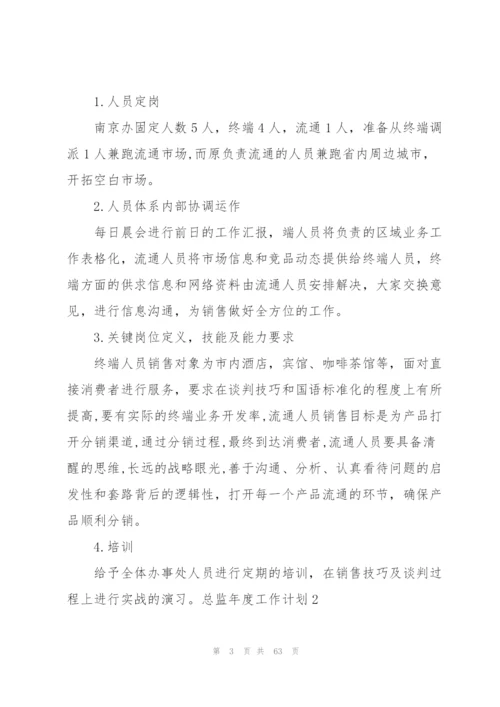 总监年度工作计划.docx