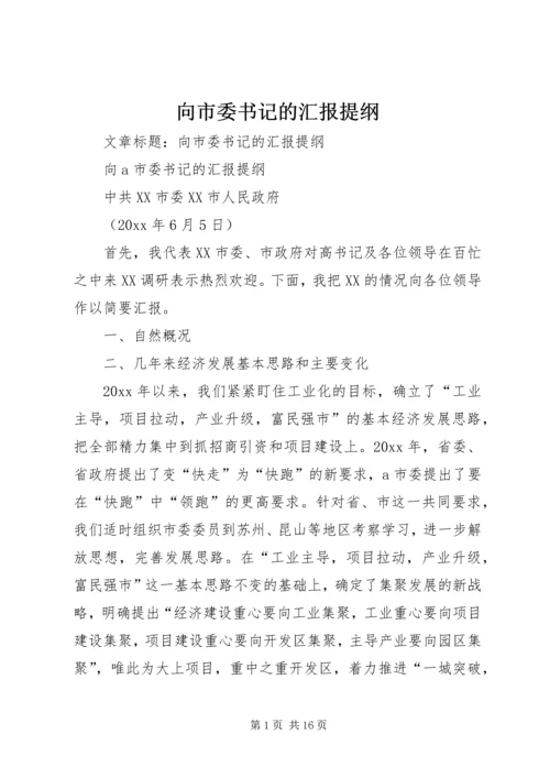 向市委书记的汇报提纲 (3).docx