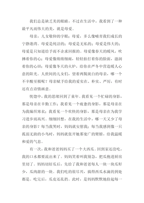 想看见你的美作文.docx