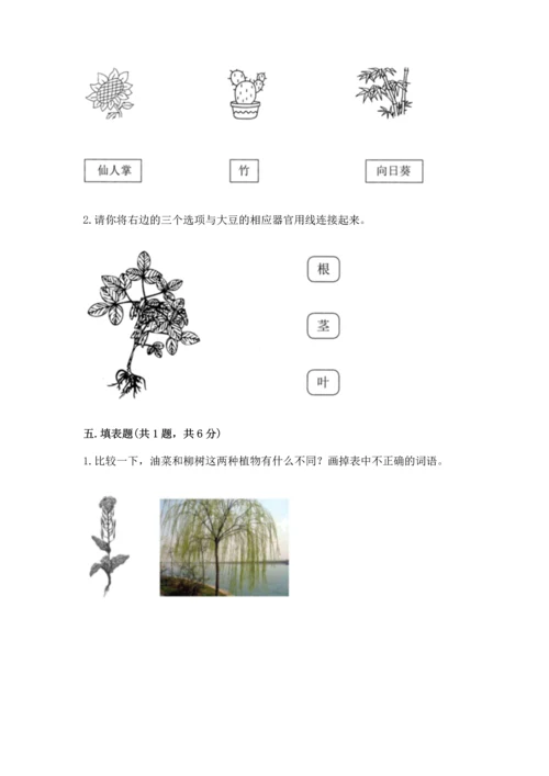 教科版科学一年级上册第一单元《植物》测试卷及1套参考答案.docx