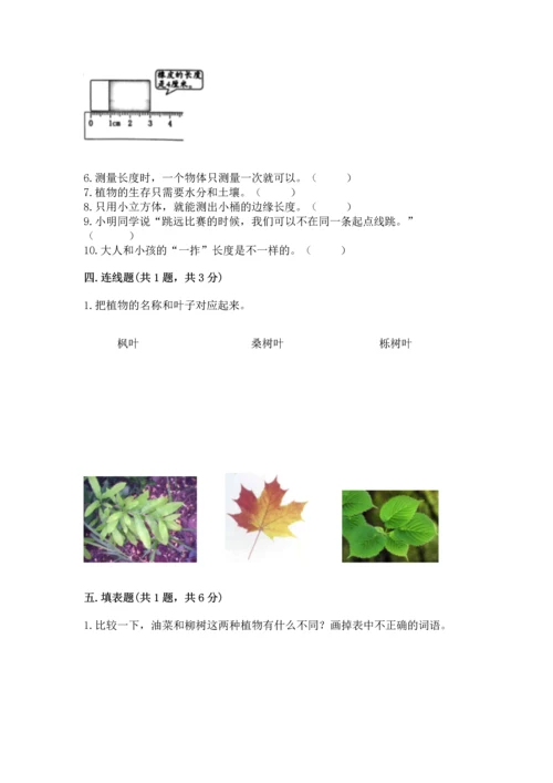 教科版一年级上册科学期末测试卷及答案【精品】.docx