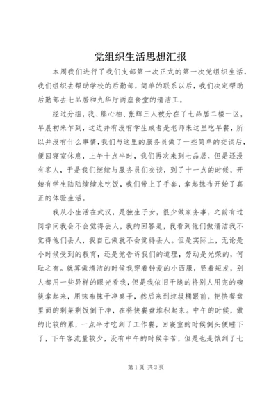 党组织生活思想汇报.docx