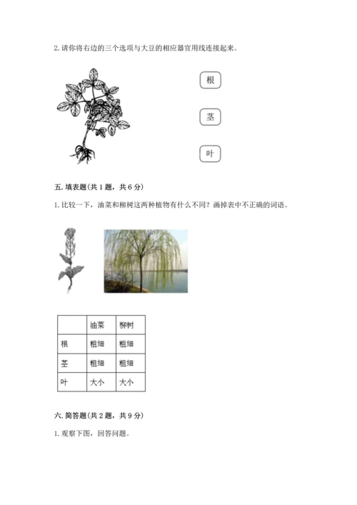 教科版科学一年级上册第一单元《植物》测试卷含答案【轻巧夺冠】.docx