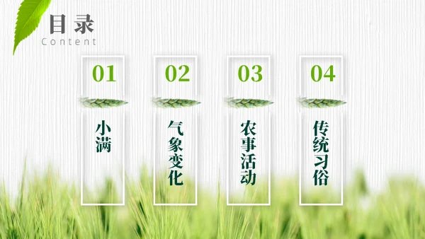 小满——禾苗青苗稻谷嫩芽通用PPT模板