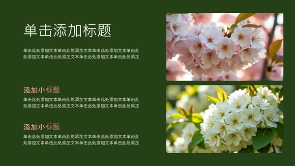 粉绿色简约几何樱花介绍