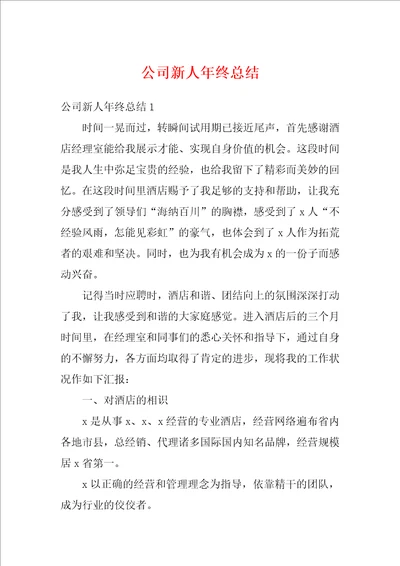 公司新人年终总结