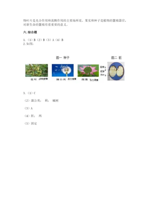 科学四年级下册第一单元《植物的生长变化》测试卷精选.docx