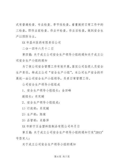 关于公司成立安全生产小组的管理规定.docx