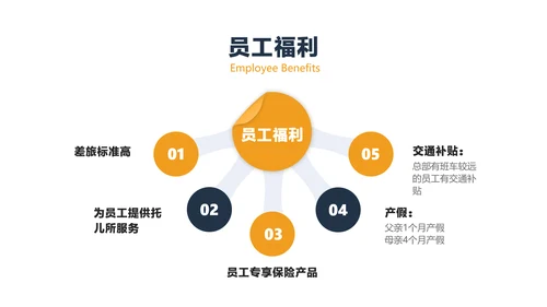 蓝灰色商务风保险职业宣讲会