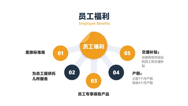 蓝灰色商务风保险职业宣讲会