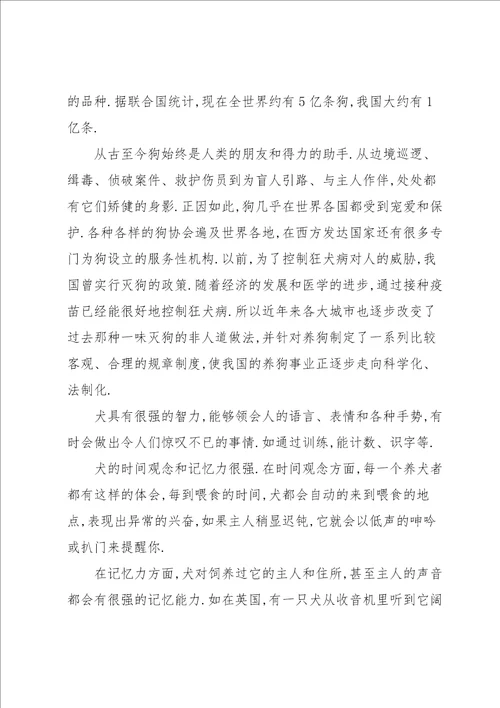 关于说明文的作文锦集10篇