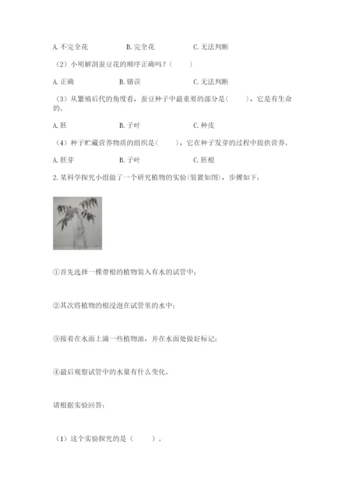 教科版四年级下册科学第一单元《植物的生长变化》测试卷（必刷）.docx