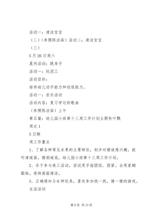 第十三周工作计划.docx