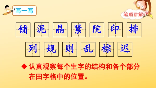 5《铺满金色巴掌的水泥道》   课件