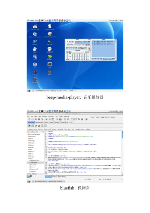 Linux系统工作标准流程.docx