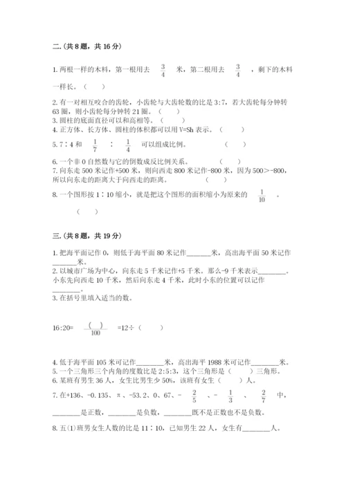 人教版六年级数学小升初试卷附完整答案（精品）.docx